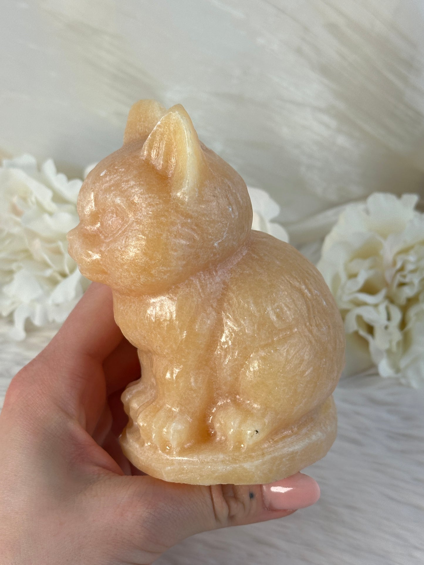 XL Orangencalcit Katze RF58