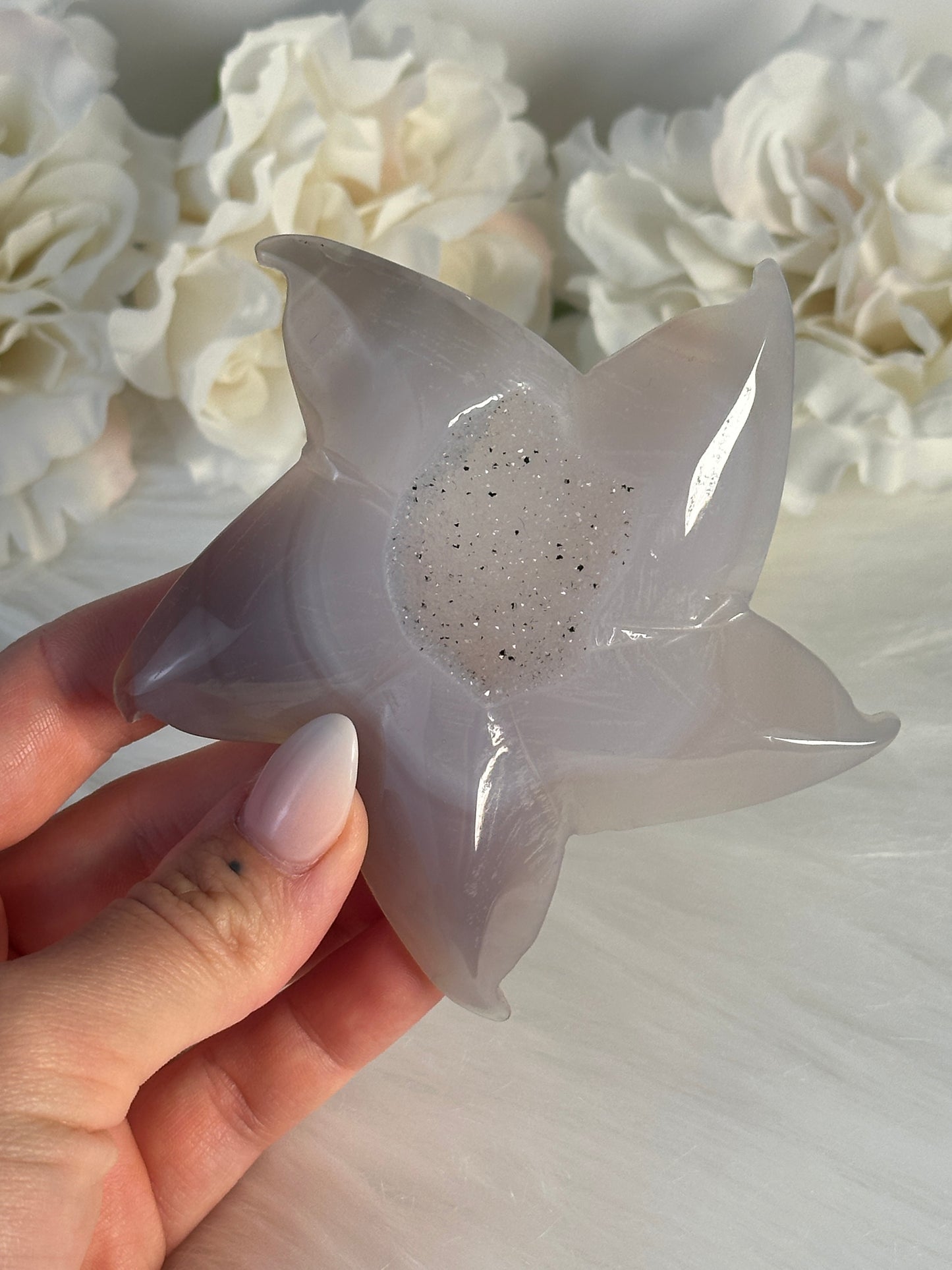 Druzy Achat Seestern QL39