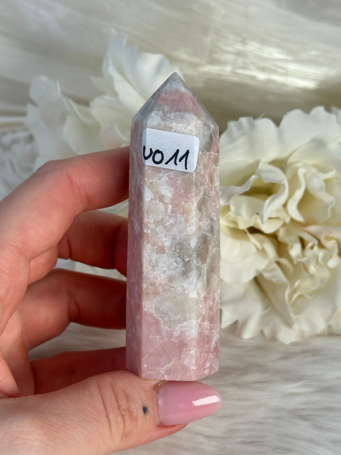 Rosa Opal Turm UO11