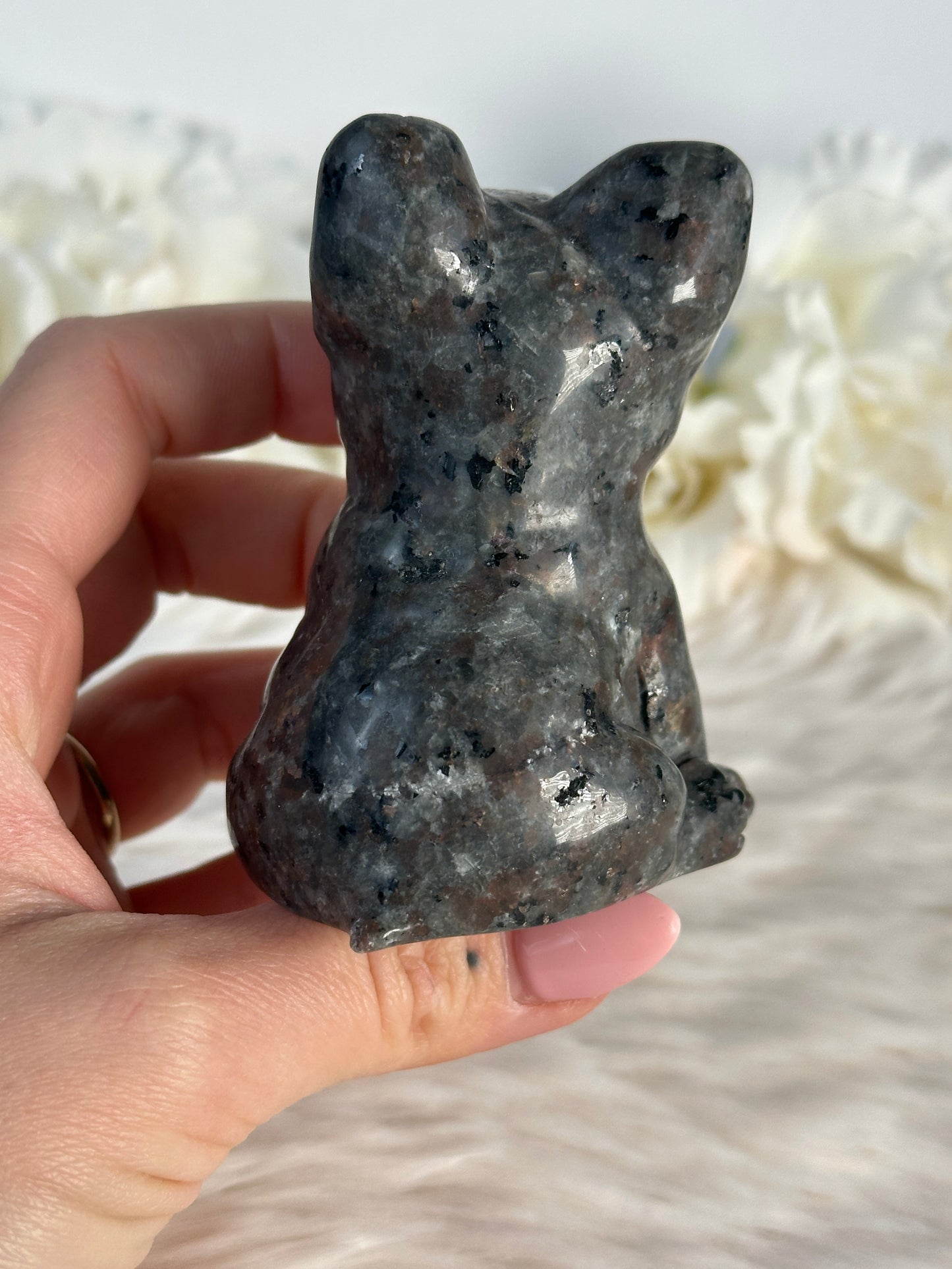 Yooperlite Hund V20