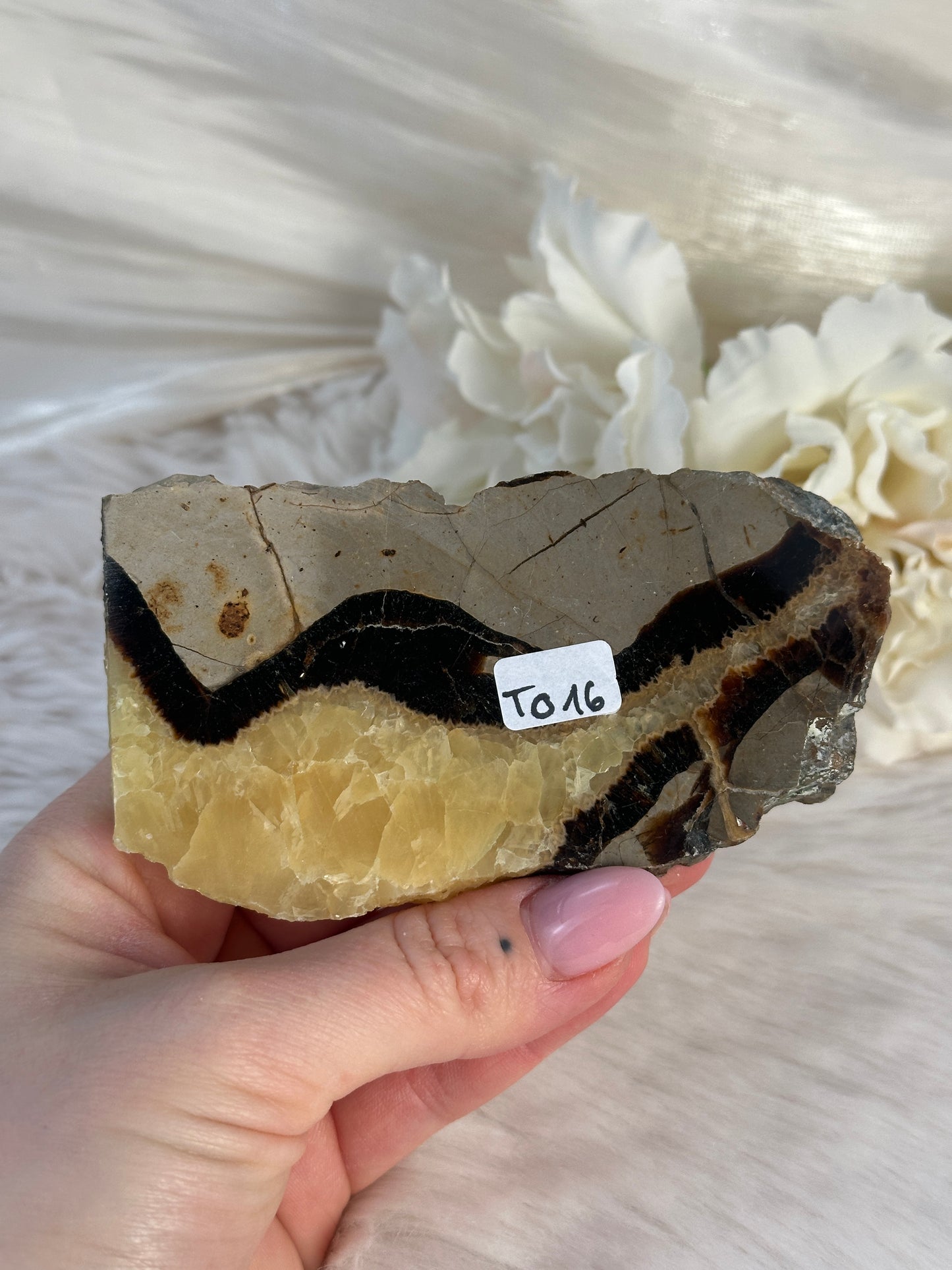 Septarie Slab TO16