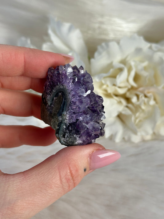 Uruguay Amethyst Cluster UF6