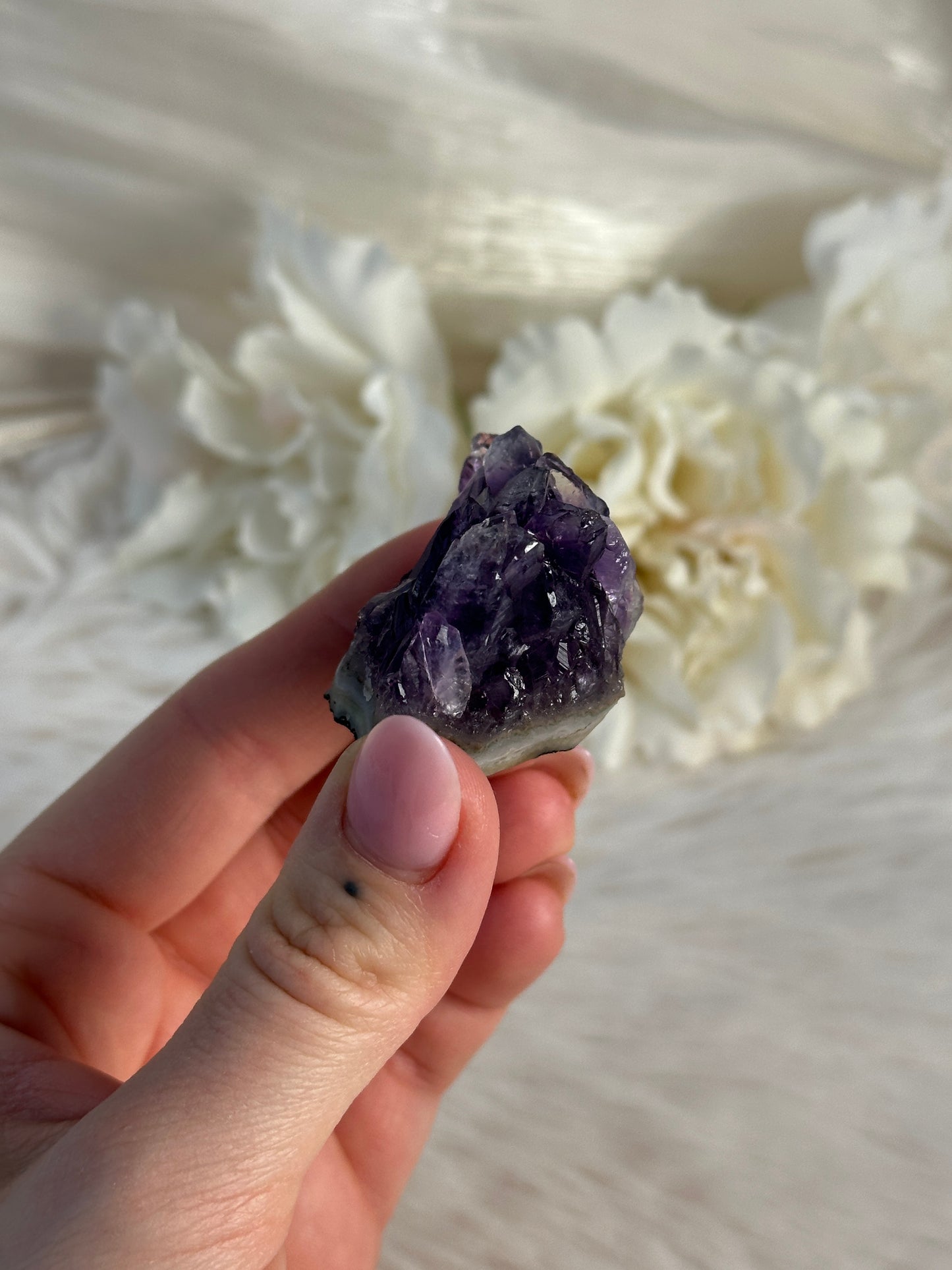 Uruguay Amethyst Cluster UGi6