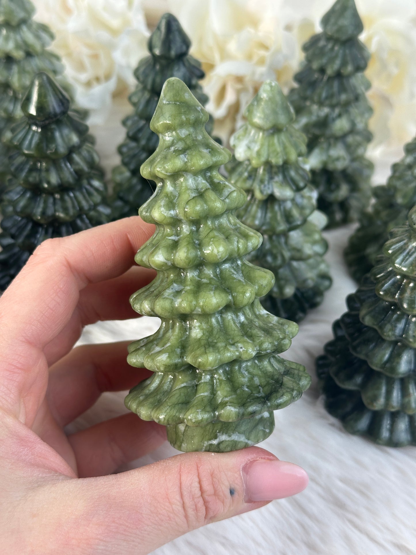 Grüne Jade Tannenbaum AV39