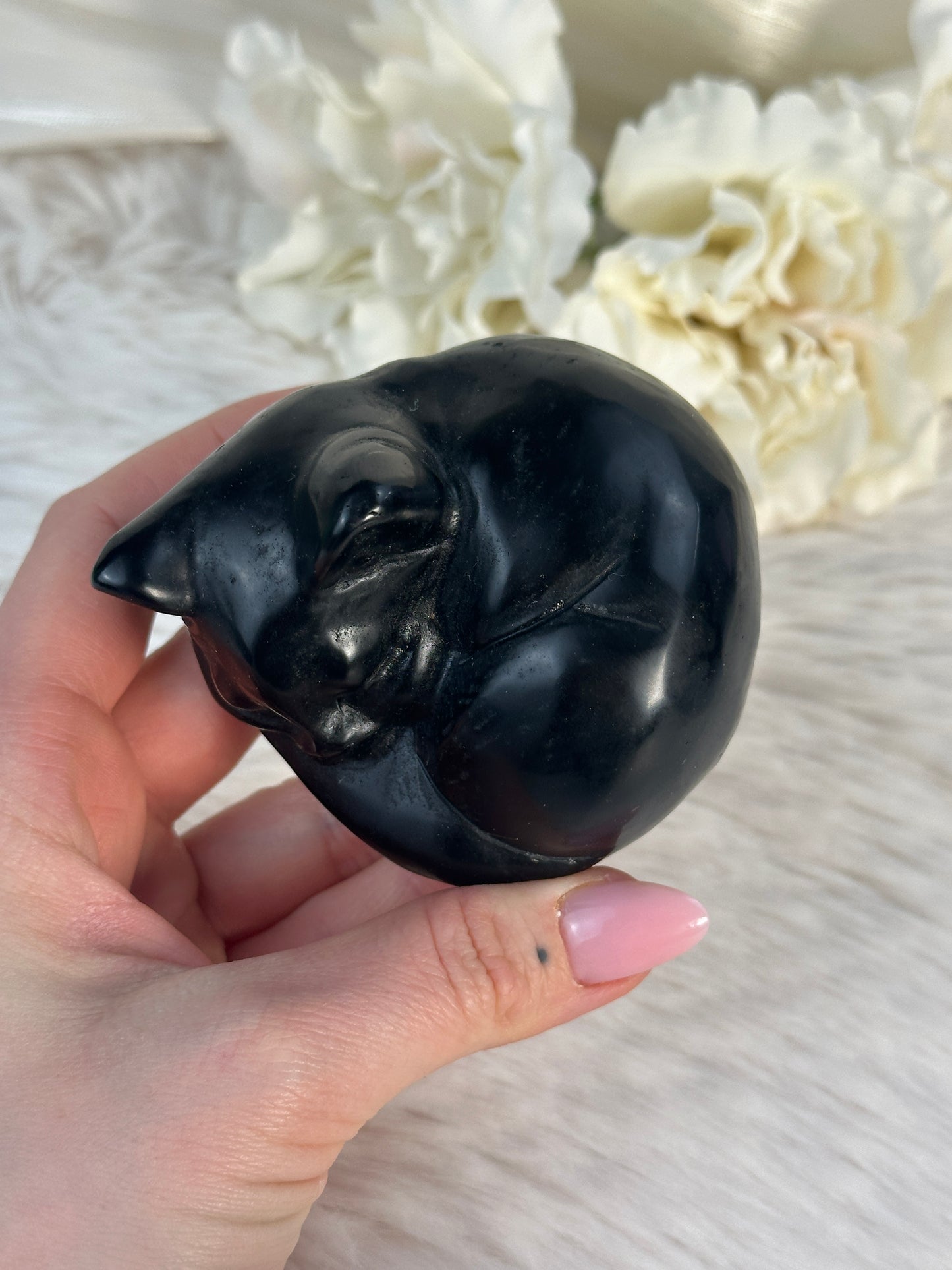 Obsidian Katze FU39