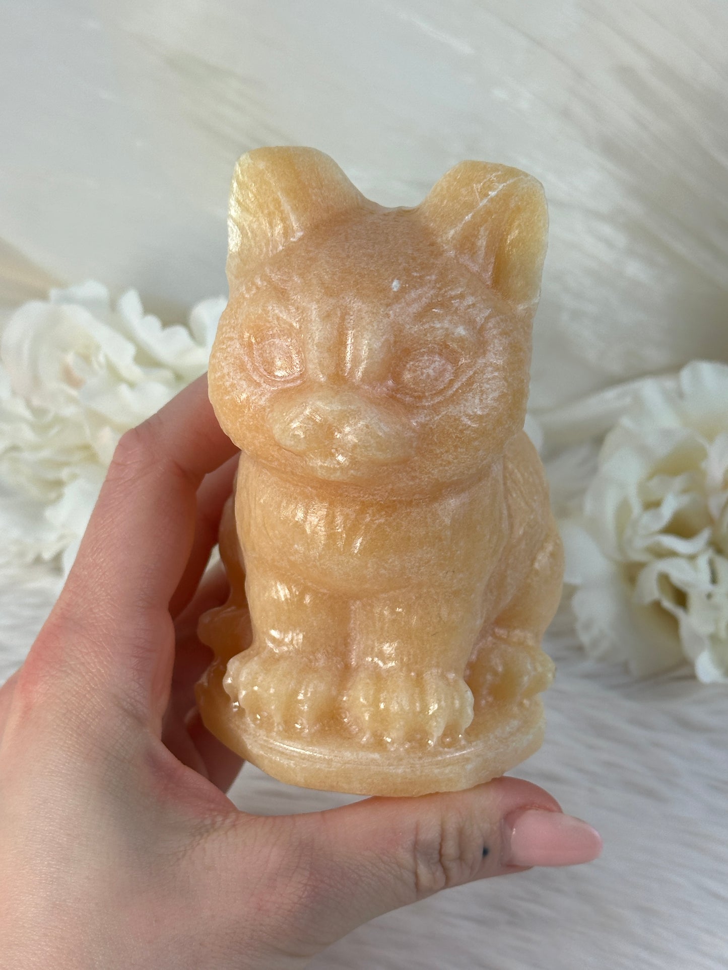 XL Orangencalcit Katze RF58