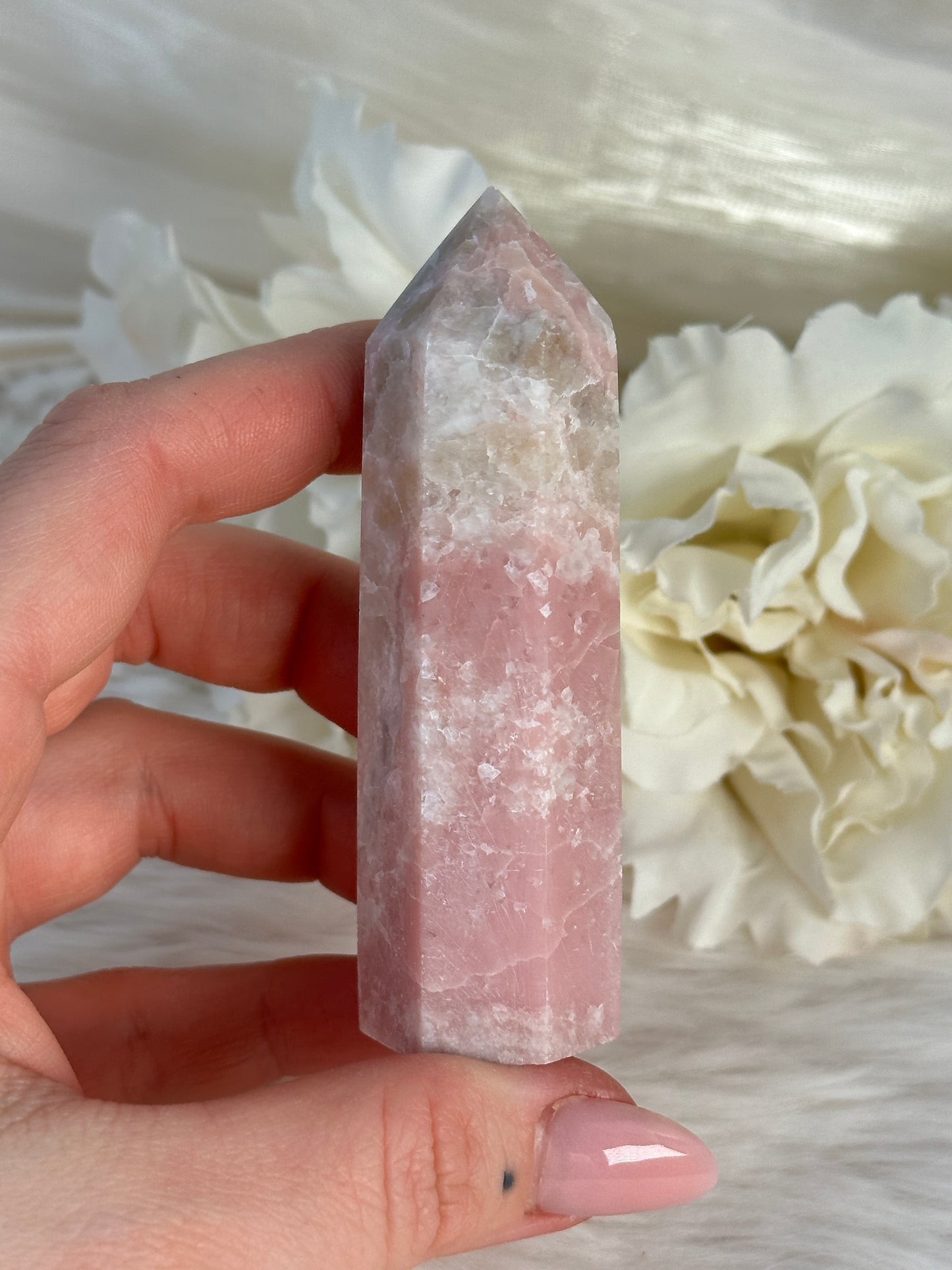 Rosa Opal Turm UO11