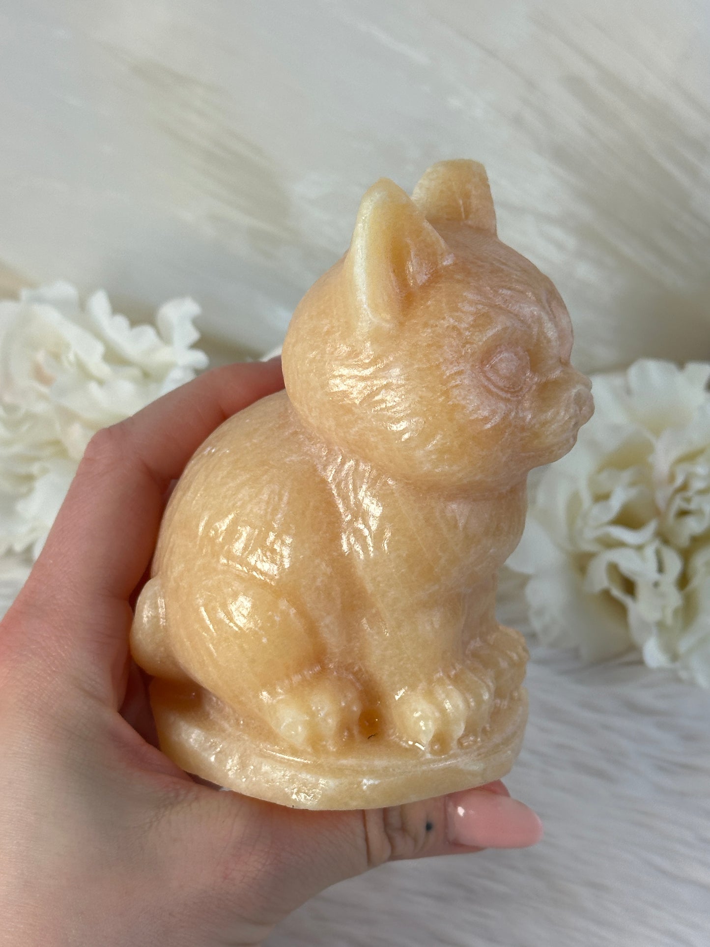 XL Orangencalcit Katze RF58