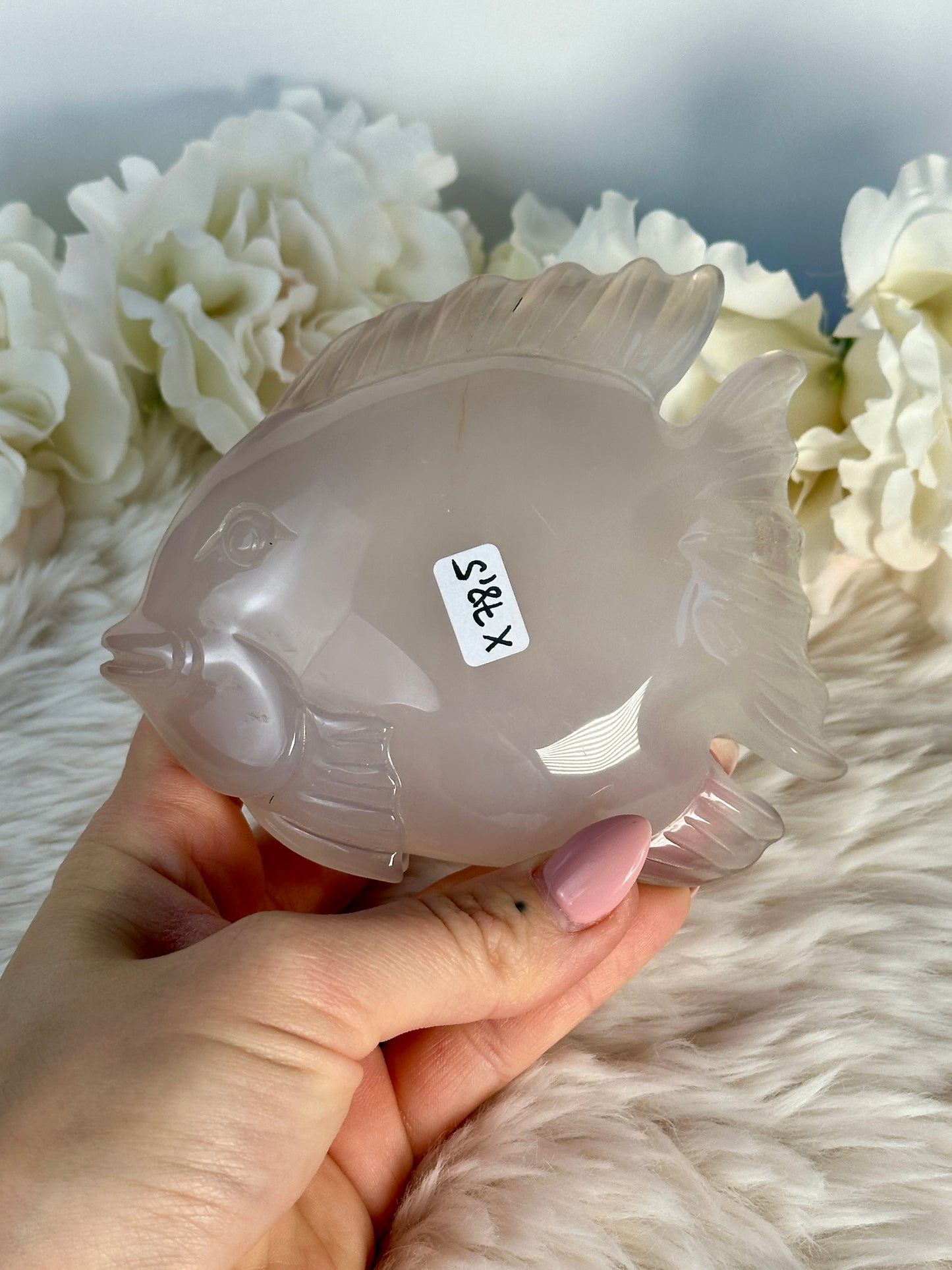 Druzy Achat Fisch X78,5
