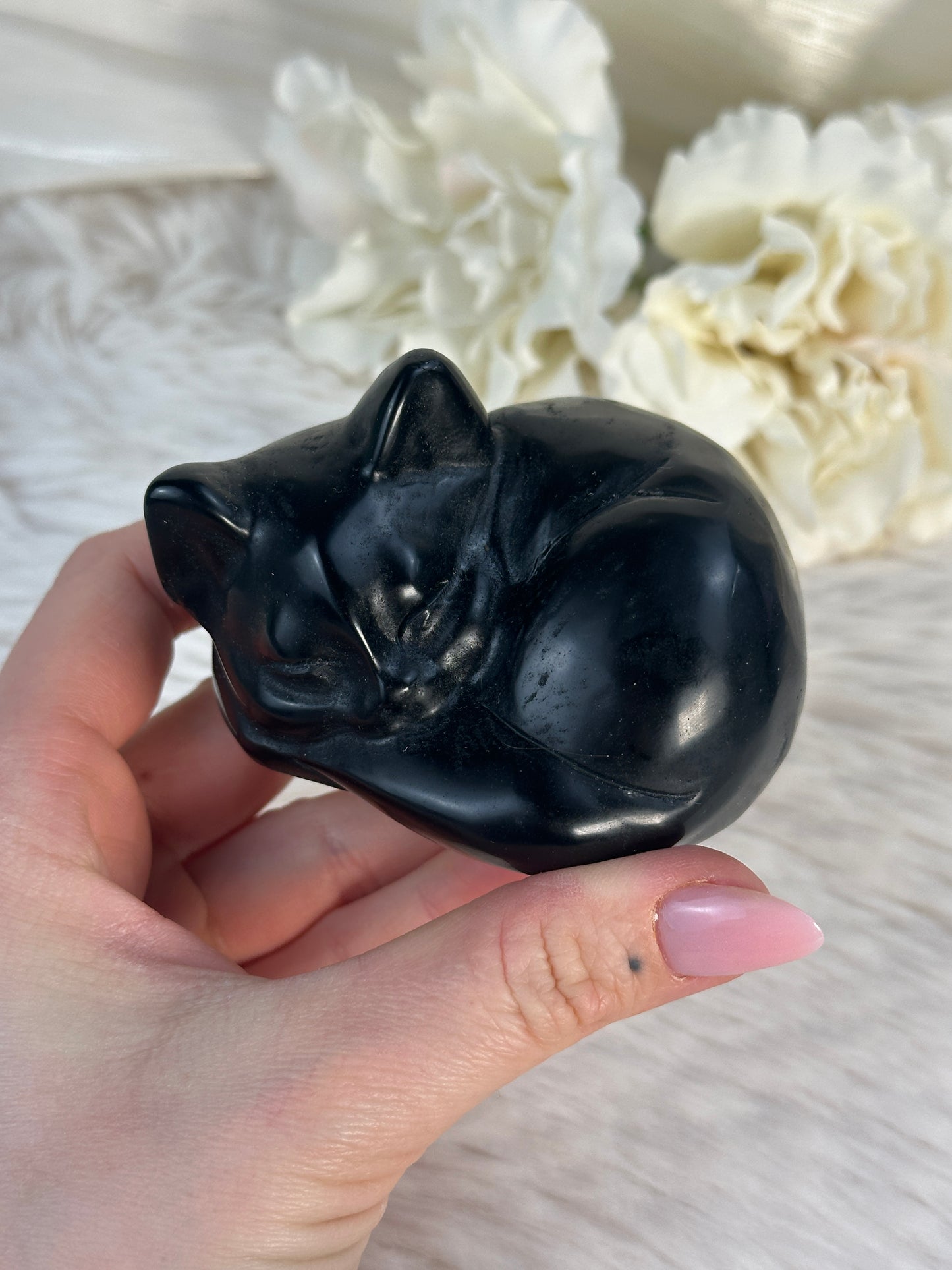 Obsidian Katze FU39