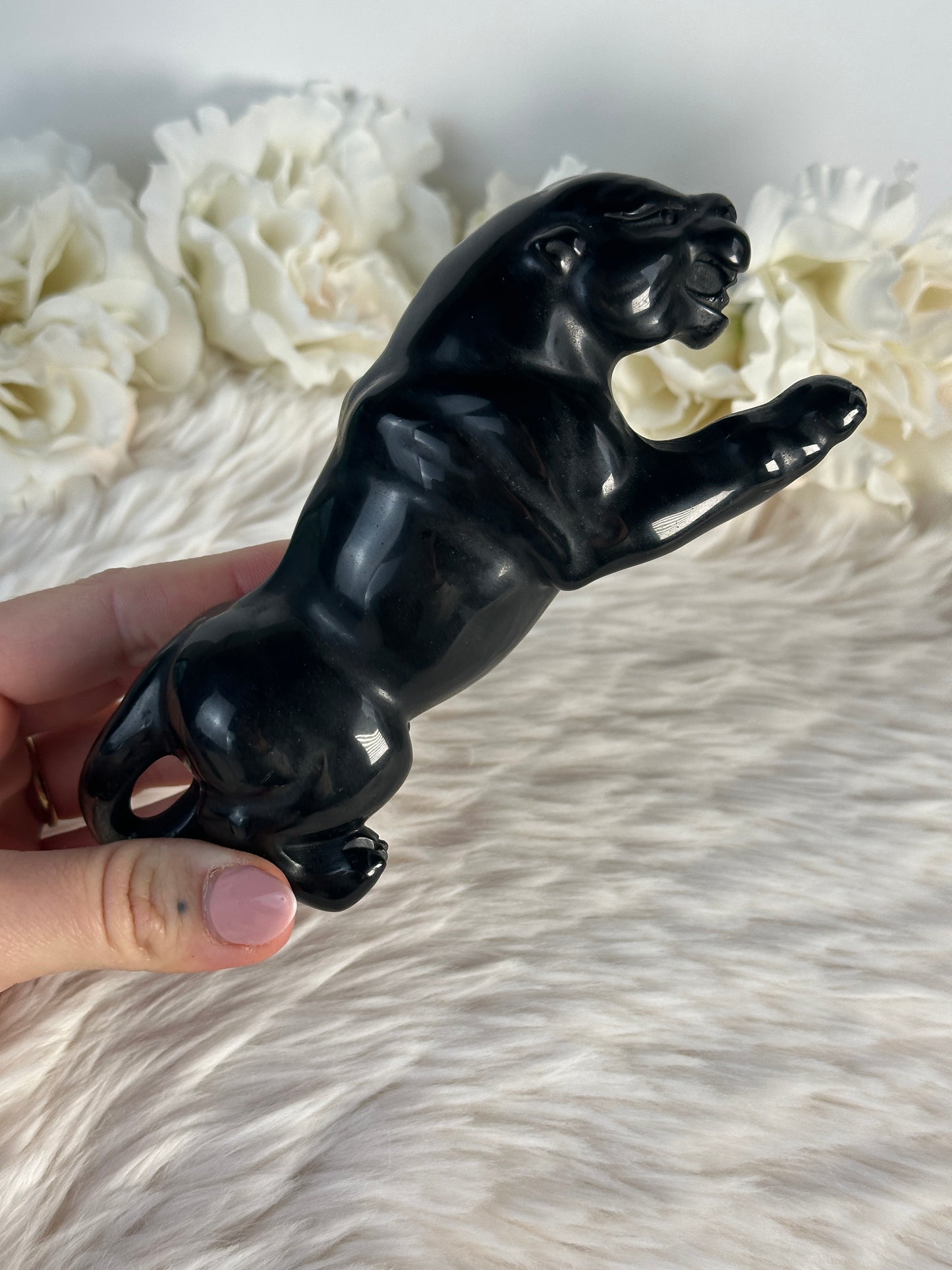 Obsidian Panther Aii79