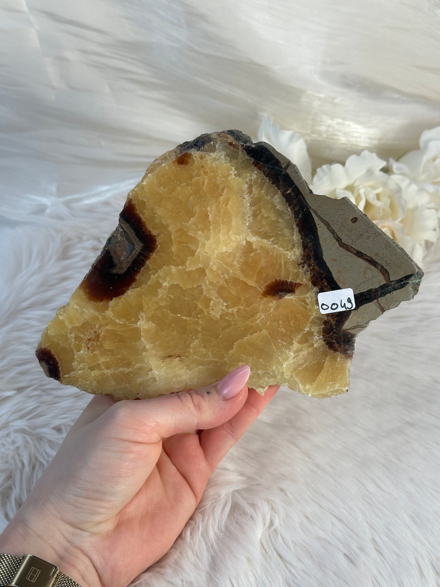 Septarie Slab OO49