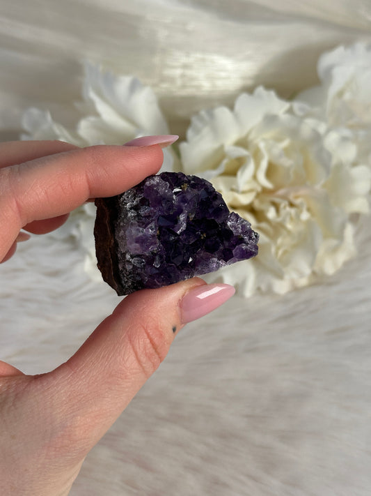 Uruguay Amethyst Cluster iUG6