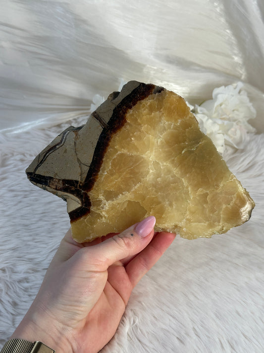 Septarie Slab OO49