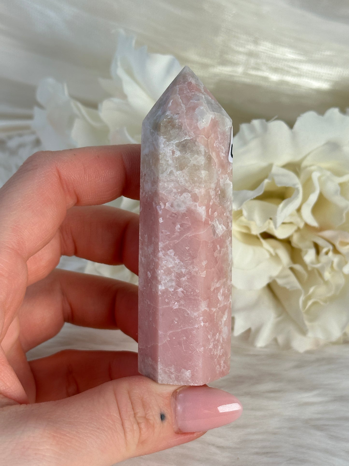 Rosa Opal Turm UO11