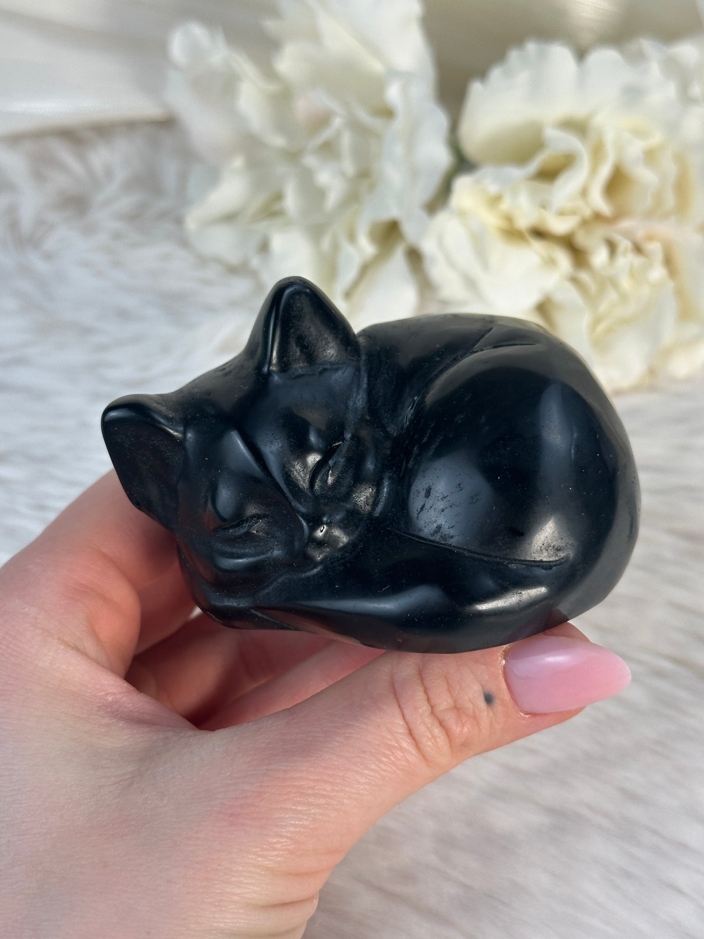 Obsidian Katze FU39