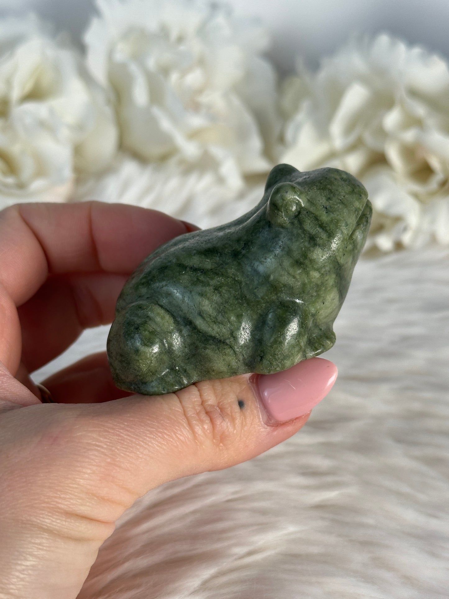 Grüner Jade Frosch Wi22