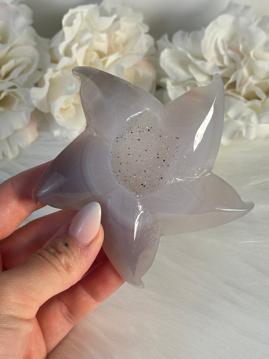 Druzy Achat Seestern QL39