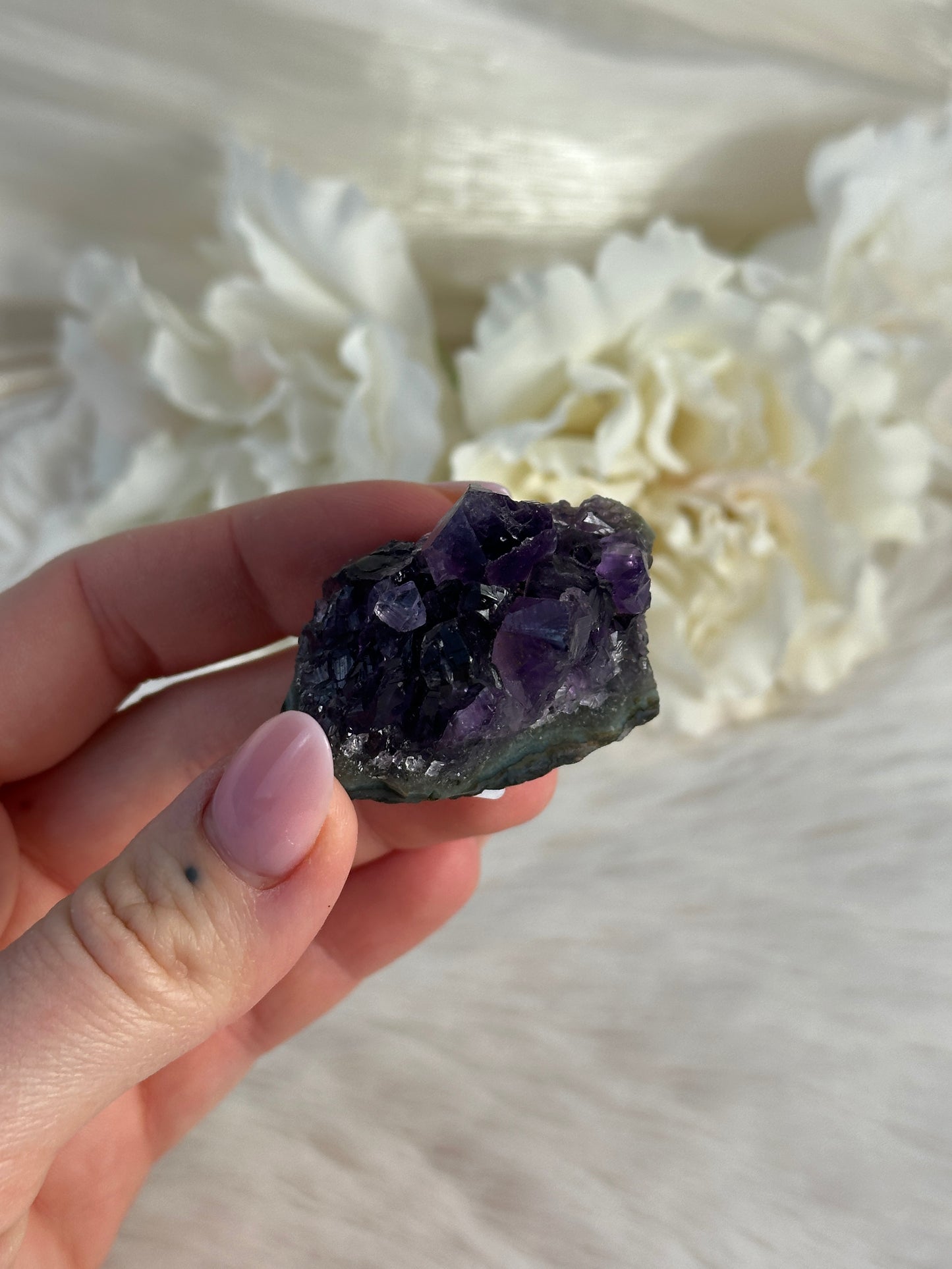Uruguay Amethyst Cluster UH6