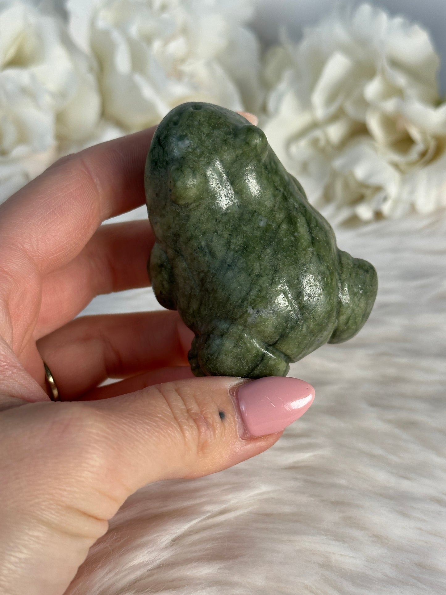 Grüner Jade Frosch Wi22