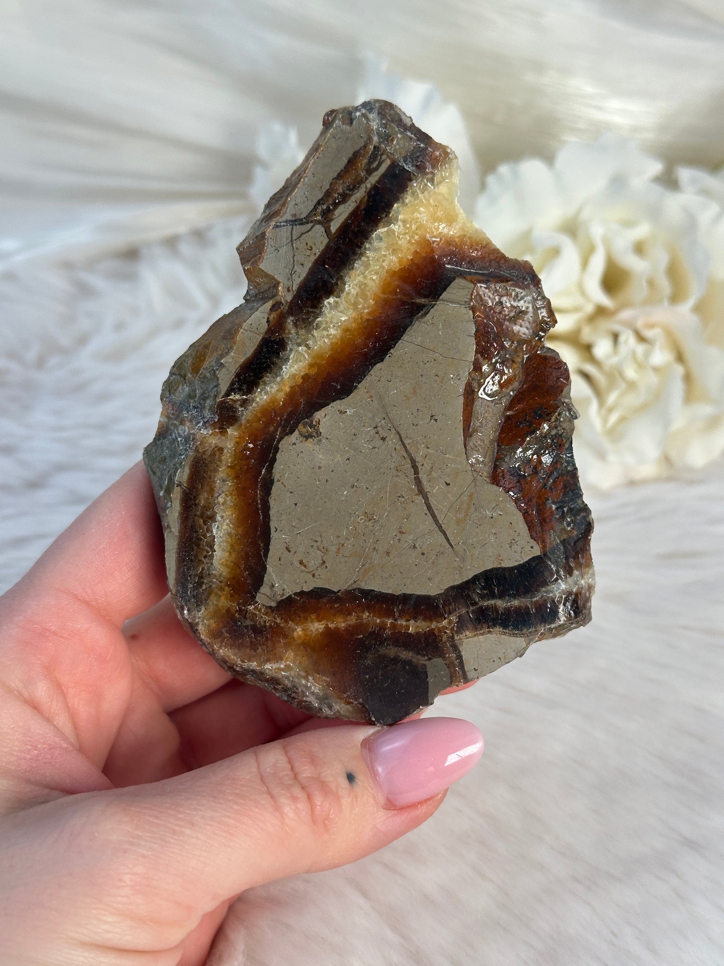Septarie Slab SO12