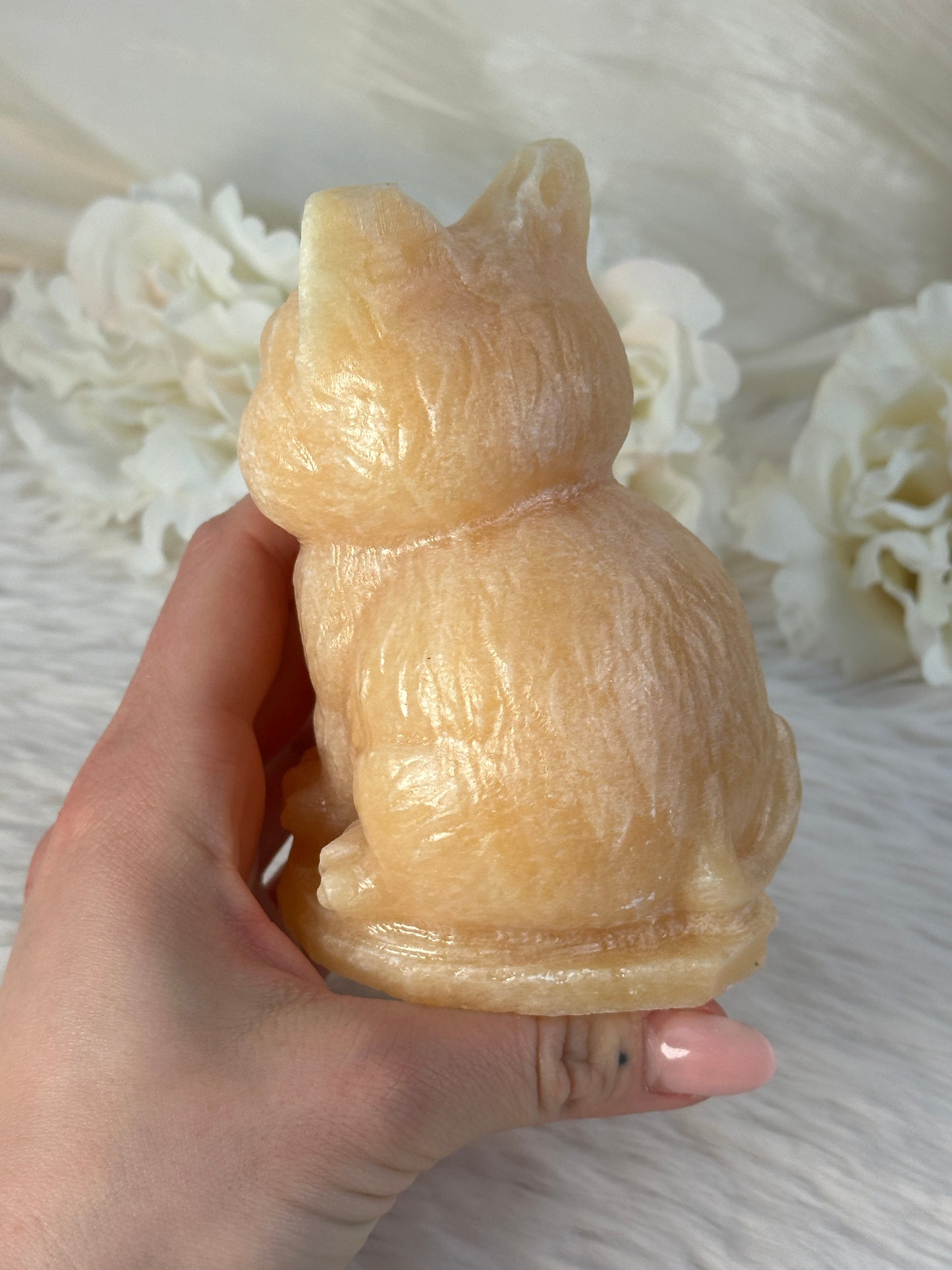 XL Orangencalcit Katze BB58