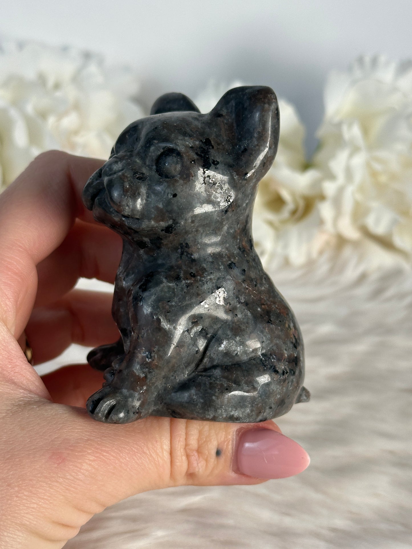 Yooperlite Hund V20