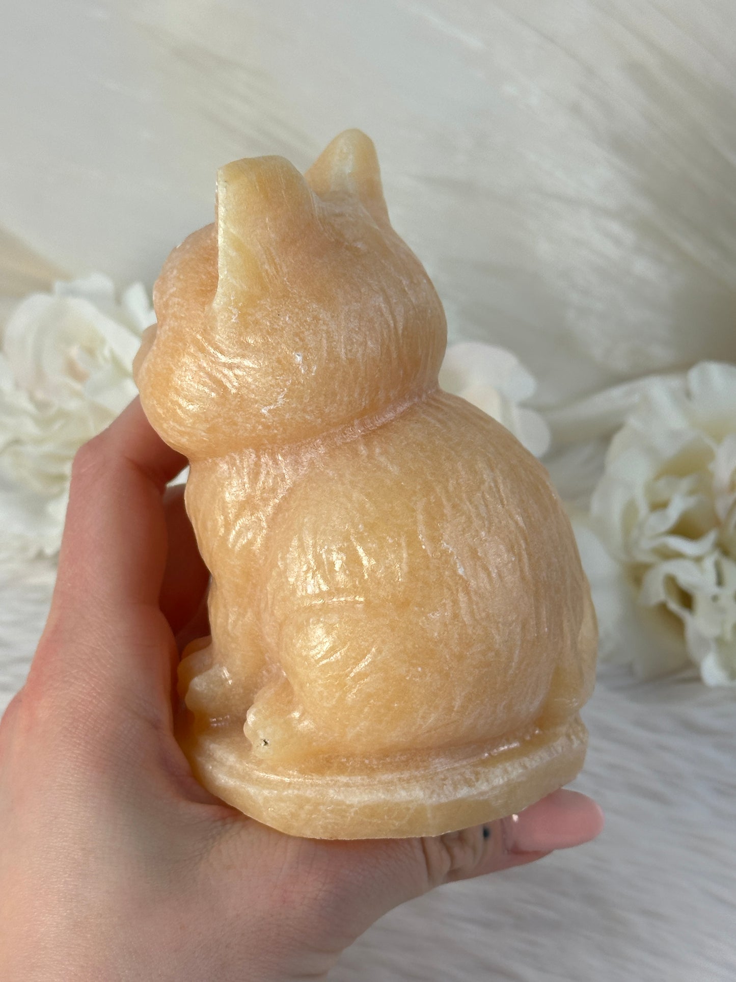 XL Orangencalcit Katze RF58