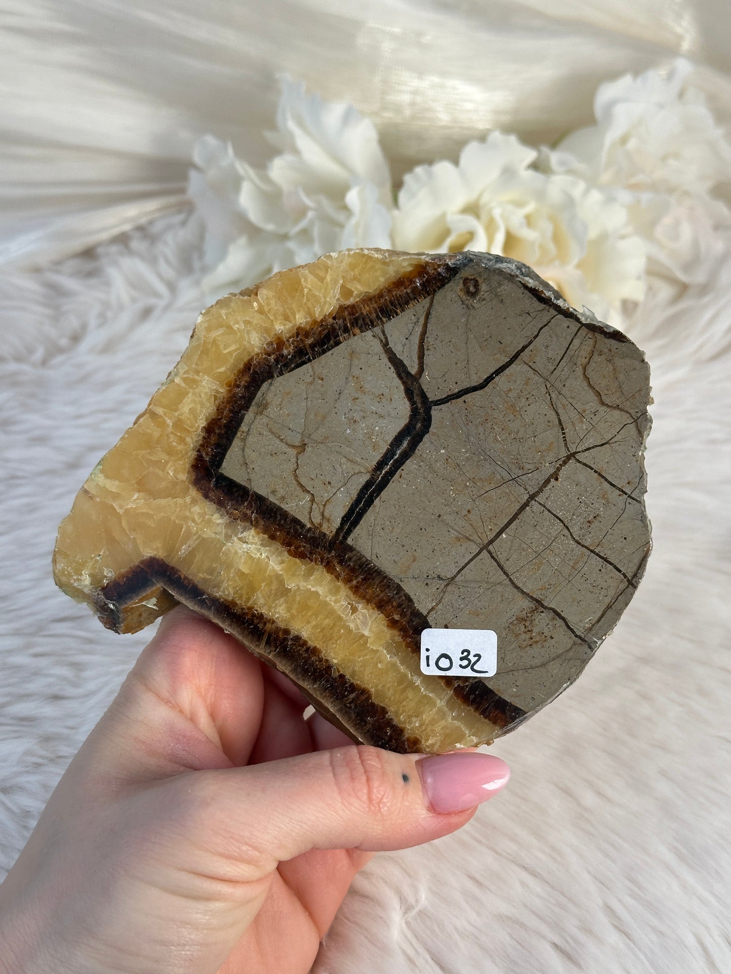 Septarie Slab iO32