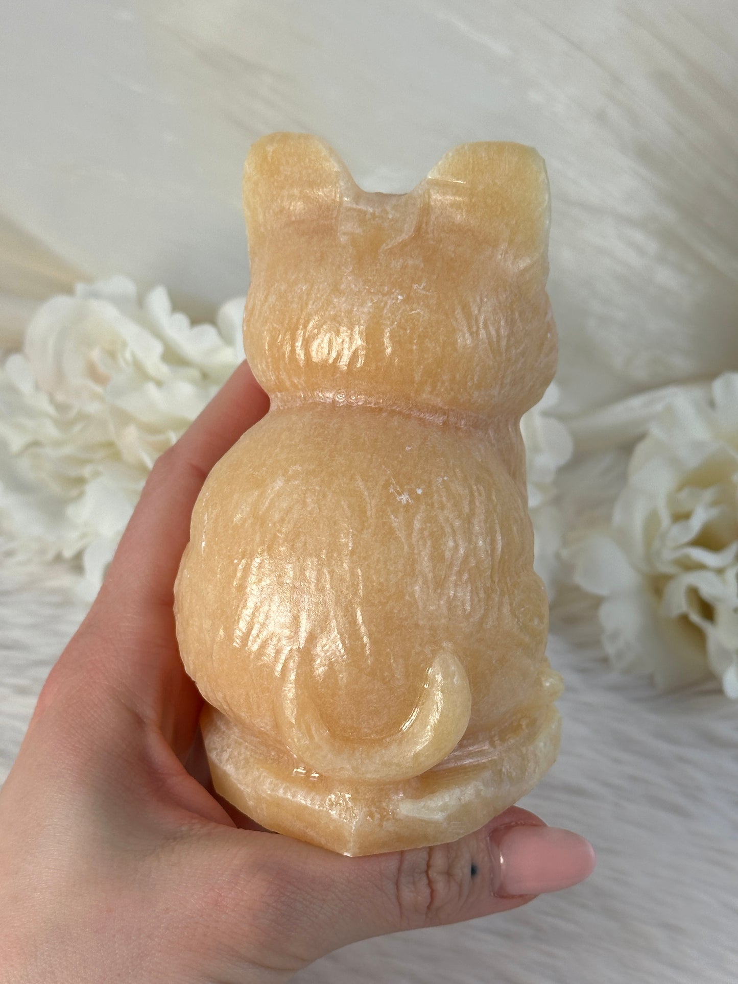 XL Orangencalcit Katze RF58