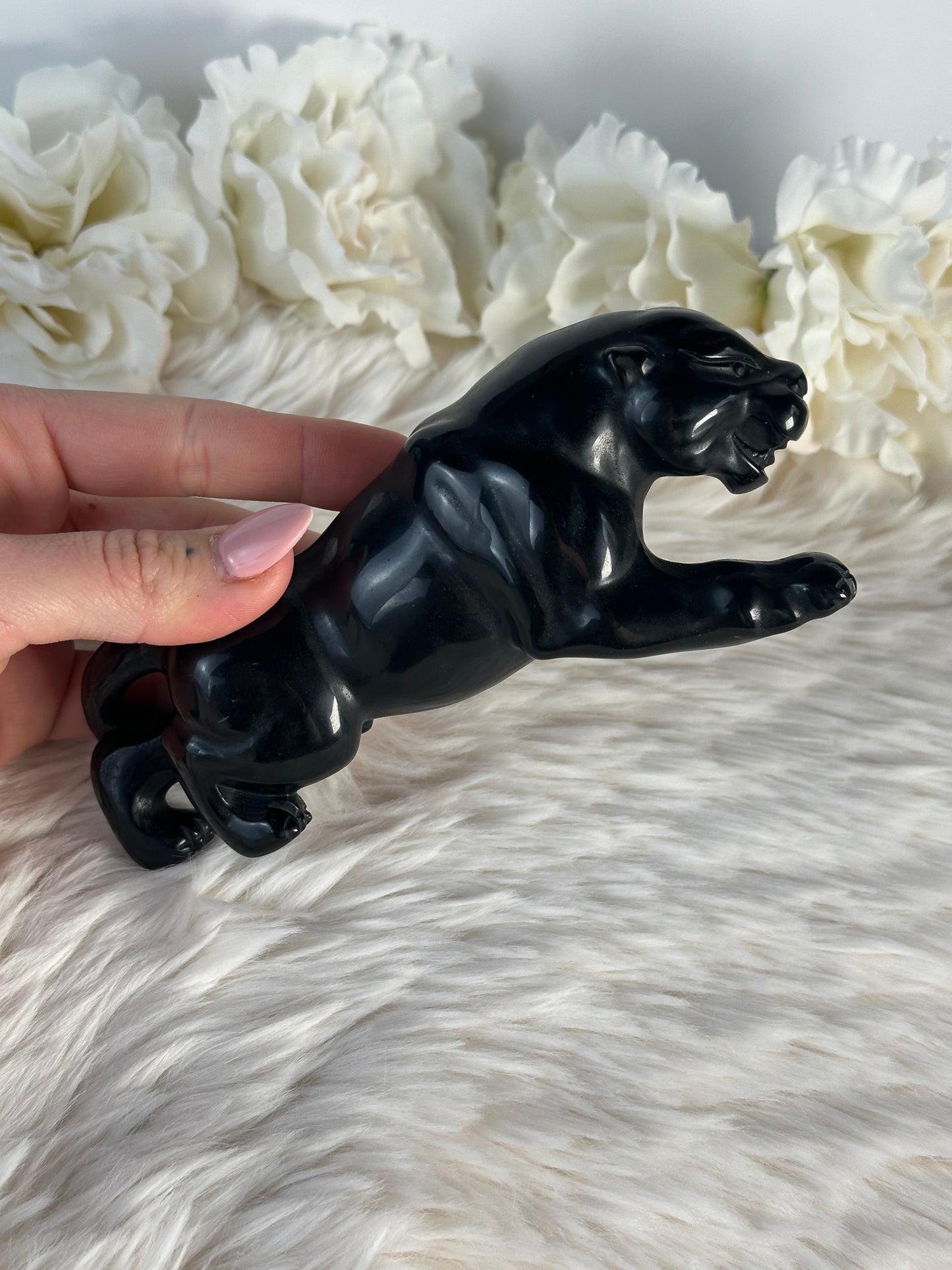 Obsidian Panther Aii79